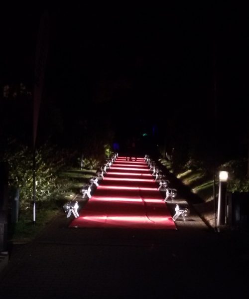 20160529_000614 Kopie